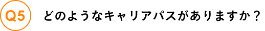 どのようなキャリアパスがありますか？